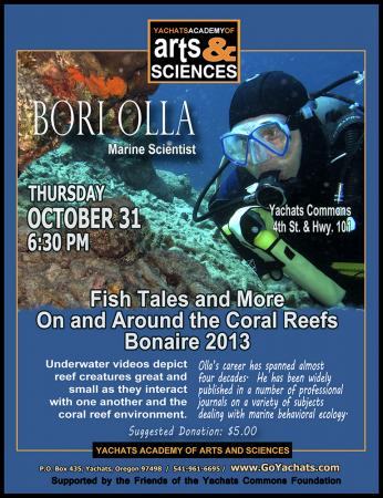 The Coral Reefs of Bonaire - 2013