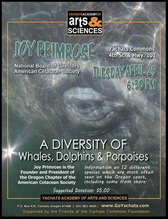 Whales, Dolphins and Porpoises