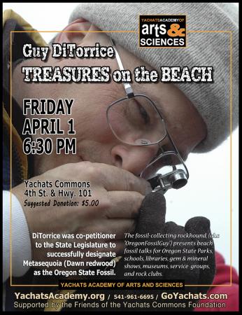 Treasures on the Beach